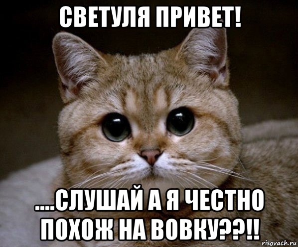 светуля привет! ....слушай а я честно похож на вовку??!!