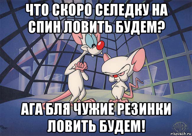 что скоро селедку на спин ловить будем? ага бля чужие резинки ловить будем!