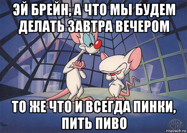 эй брейн, а что мы будем делать завтра вечером то же что и всегда пинки, пить пиво