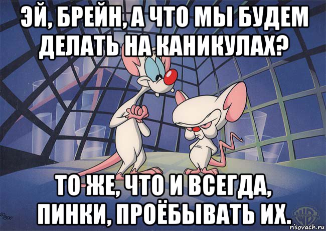 эй, брейн, а что мы будем делать на каникулах? то же, что и всегда, пинки, проёбывать их.