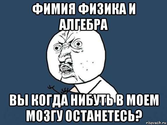 фимия физика и алгебра вы когда нибуть в моем мозгу останетесь?, Мем  почему мем