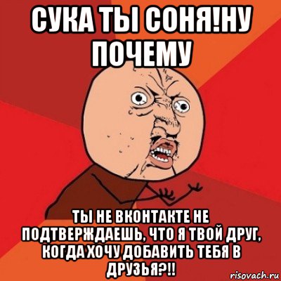 сука ты соня!ну почему ты не вконтакте не подтверждаешь, что я твой друг, когда хочу добавить тебя в друзья?!!, Мем Почему