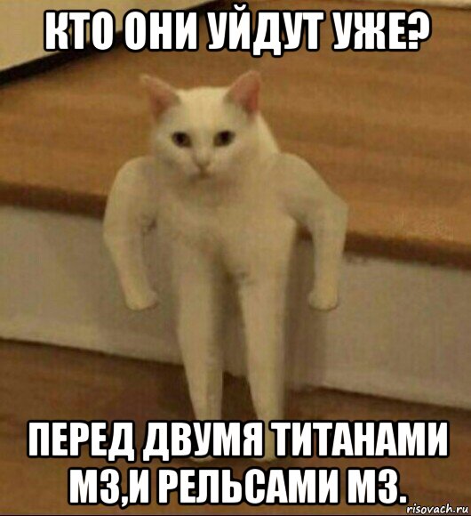 кто они уйдут уже? перед двумя титанами м3,и рельсами м3., Мем  Полукот