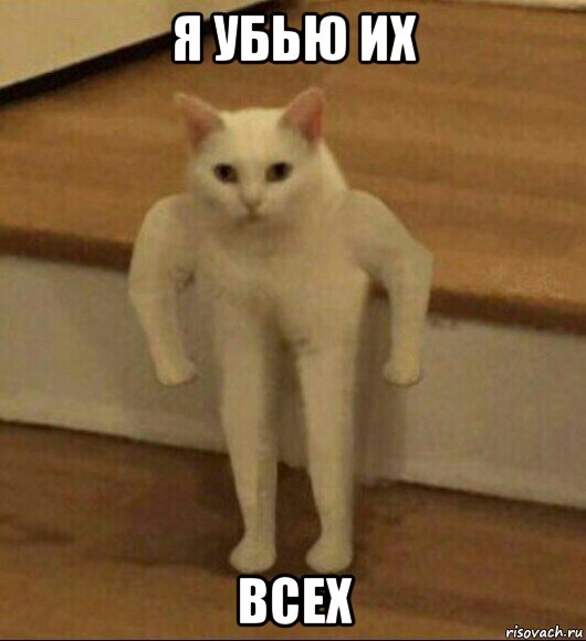 я убью их всех, Мем  Полукот