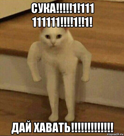 сука!!!!!1!111 111111!!!!1!!1! дай хавать!!!!!!!!!!!!!, Мем  Полукот