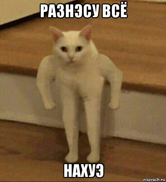 разнэсу всё нахуэ, Мем  Полукот