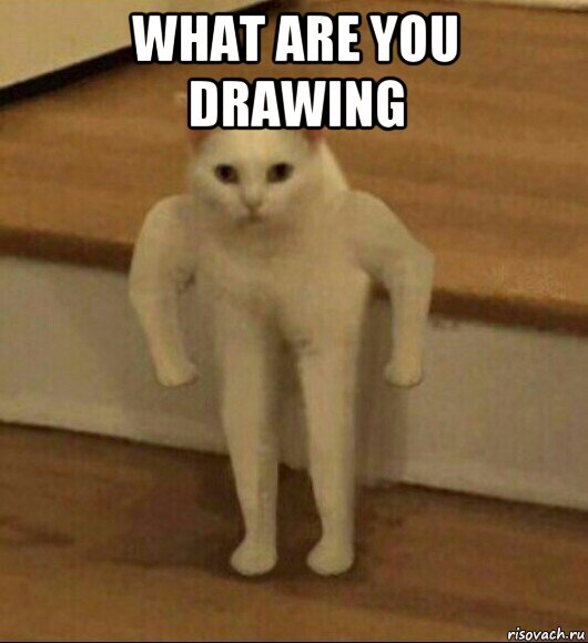 what are you drawing , Мем  Полукот