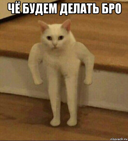 чё будем делать бро 