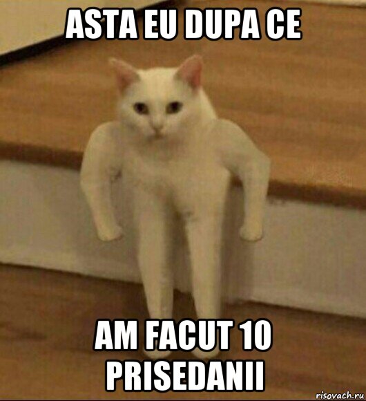 asta eu dupa ce am facut 10 prisedanii, Мем  Полукот