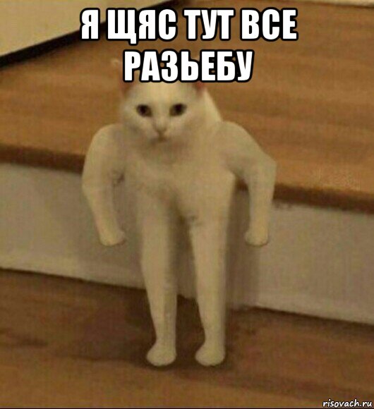 я щяс тут все разьебу , Мем  Полукот