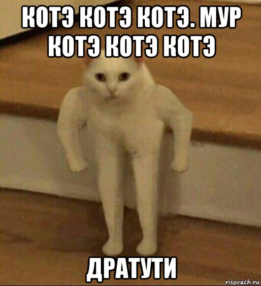 котэ котэ котэ. мур котэ котэ котэ дратути, Мем  Полукот