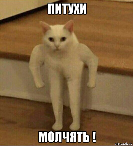 питухи молчять !, Мем  Полукот