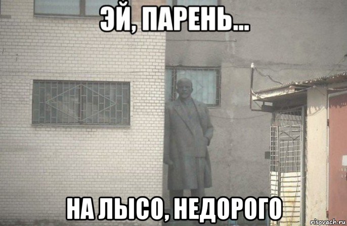  на лысо, недорого, Мем псс парень