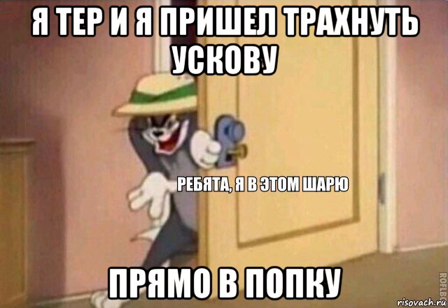 я тер и я пришел трахнуть ускову прямо в попку, Мем    Ребята я в этом шарю