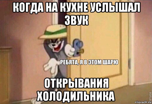 когда на кухне услышал звук открывания холодильника, Мем    Ребята я в этом шарю