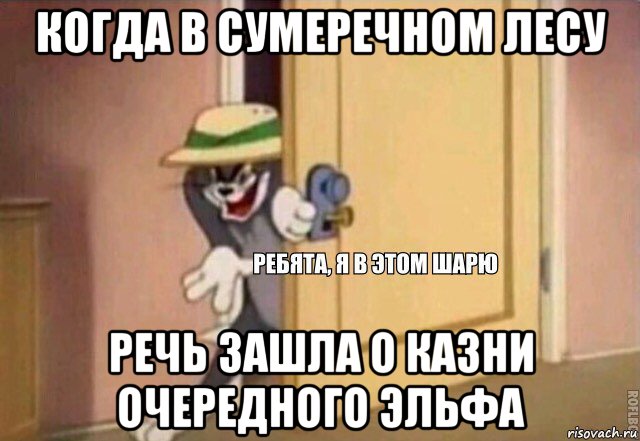 когда в сумеречном лесу речь зашла о казни очередного эльфа, Мем    Ребята я в этом шарю