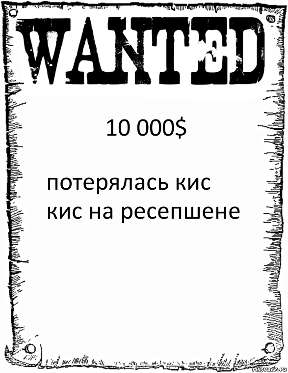 10 000$ потерялась кис кис на ресепшене