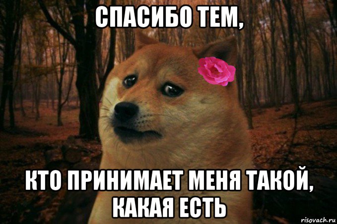 спасибо тем, кто принимает меня такой, какая есть, Мем  SAD DOGE GIRL