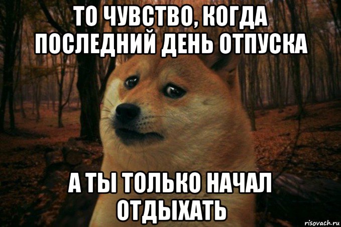 то чувство, когда последний день отпуска а ты только начал отдыхать, Мем SAD DOGE