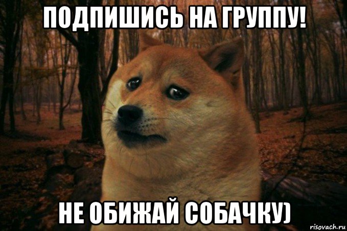 подпишись на группу! не обижай собачку), Мем SAD DOGE