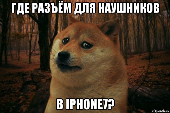 где разъём для наушников в iphone7?, Мем SAD DOGE