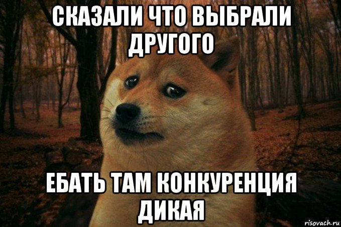 сказали что выбрали другого ебать там конкуренция дикая, Мем SAD DOGE