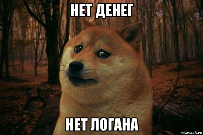 нет денег нет логана, Мем SAD DOGE