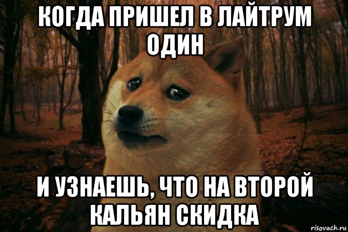 когда пришел в лайтрум один и узнаешь, что на второй кальян скидка, Мем SAD DOGE