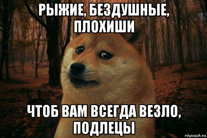 рыжие, бездушные, плохиши чтоб вам всегда везло, подлецы, Мем SAD DOGE