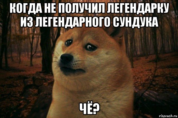 когда не получил легендарку из легендарного сундука чё?, Мем SAD DOGE