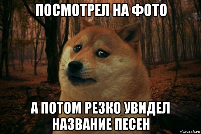 посмотрел на фото а потом резко увидел название песен, Мем SAD DOGE