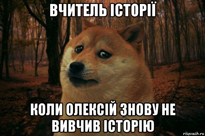 вчитель історії коли олексій знову не вивчив історію, Мем SAD DOGE