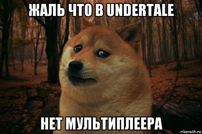 жаль что в undertale нет мультиплеера, Мем SAD DOGE