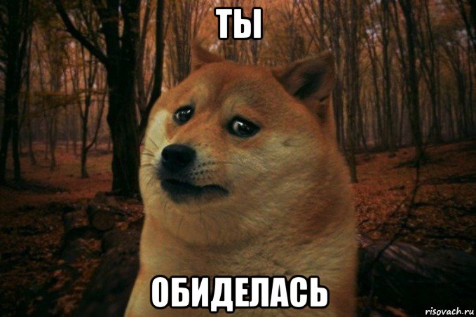 ты обиделась, Мем SAD DOGE