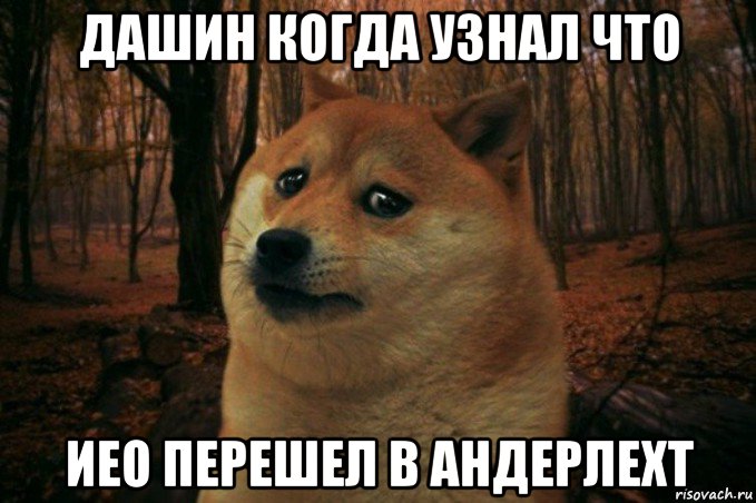 дашин когда узнал что иео перешел в андерлехт, Мем SAD DOGE