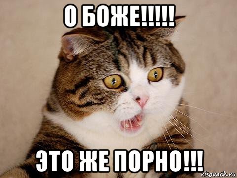 о боже!!!!! это же порно!!!