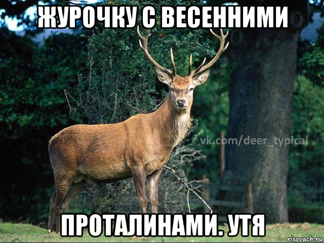 журочку с весенними проталинами. утя, Мем Паблик Типичный олень