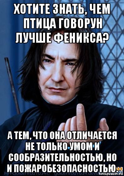 хотите знать, чем птица говорун лучше феникса? а тем, что она отличается не только умом и сообразительностью, но и пожаробезопасностью.