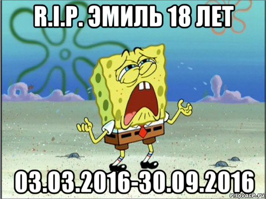 r.i.p. эмиль 18 лет 03.03.2016-30.09.2016, Мем Спанч Боб плачет