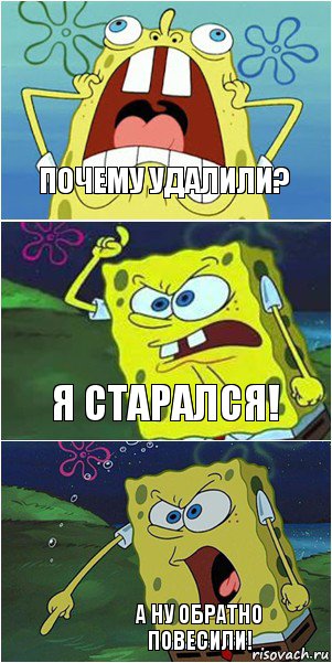 Почему удалили? Я старался! А ну обратно повесили!, Комикс  Спанч Боб негодует