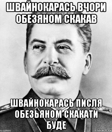 швайнокарась вчори обезяном скакав швайнокарась писля обезьяном скакати буде, Мем  Иосиф Виссарионович Сталин