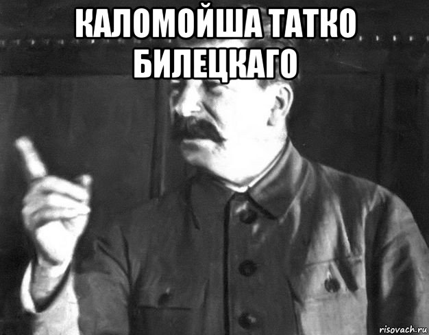 каломойша татко билецкаго , Мем  Сталин пригрозил пальцем