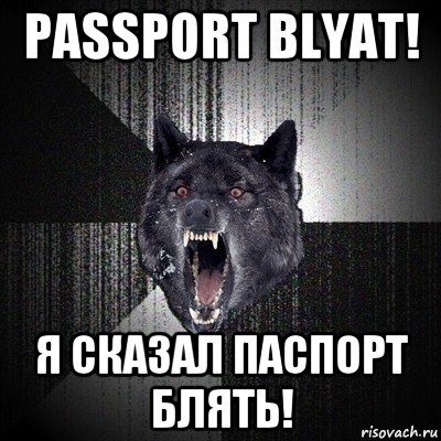 passport blyat! я сказал паспорт блять!, Мем Сумасшедший волк