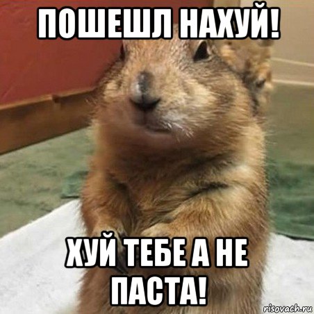 пошешл нахуй! хуй тебе а не паста!, Мем Суслик спрашивает