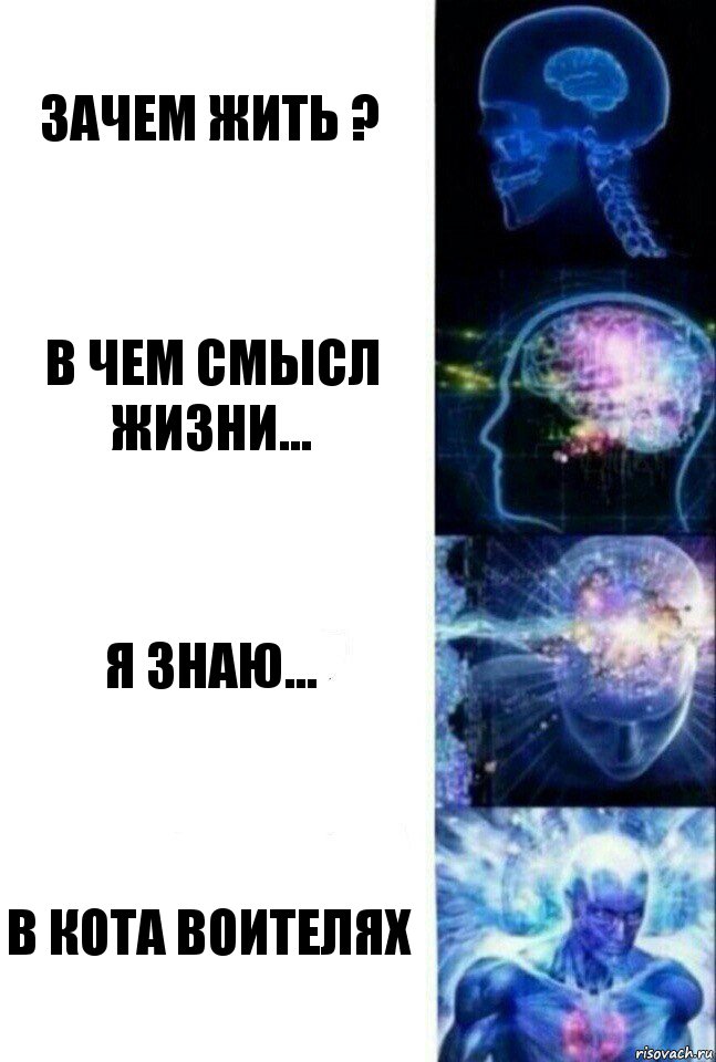 Зачем жить ? В чем смысл жизни... Я знаю... В кота воителях, Комикс  Сверхразум