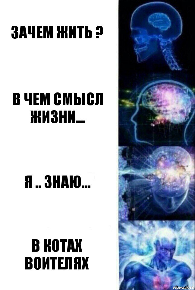 Зачем жить ? В чем смысл жизни... Я .. знаю... В котах воителях, Комикс  Сверхразум