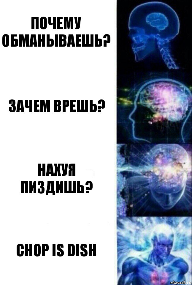 Почему обманываешь? Зачем врешь? Нахуя пиздишь? Chop is dish, Комикс  Сверхразум