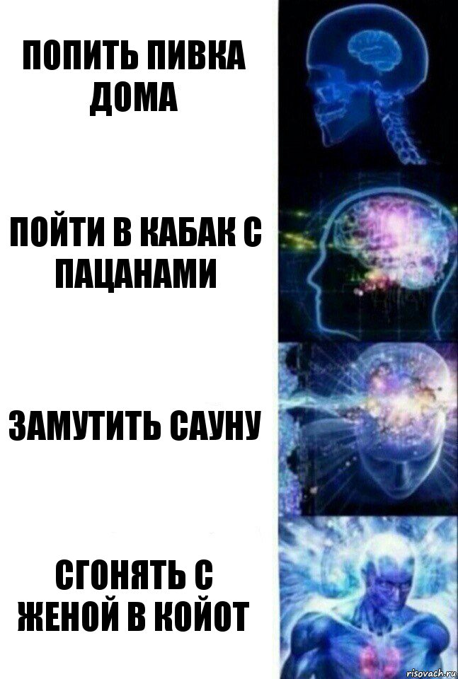 попить пивка дома пойти в кабак с пацанами замутить сауну сгонять с женой в койот, Комикс  Сверхразум