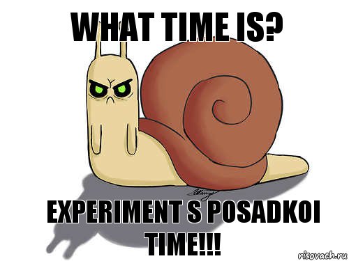 What time is? Experiment s posadkoi time!!!, Комикс Та самая улитка