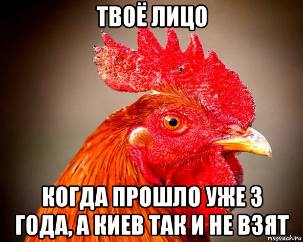 твоё лицо когда прошло уже 3 года, а киев так и не взят, Мем Типичный петух